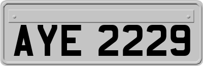 AYE2229