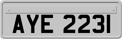 AYE2231
