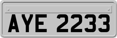 AYE2233