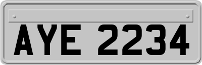 AYE2234