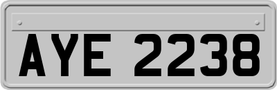 AYE2238