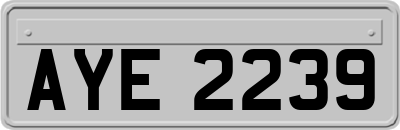 AYE2239