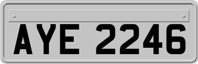 AYE2246