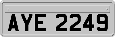 AYE2249