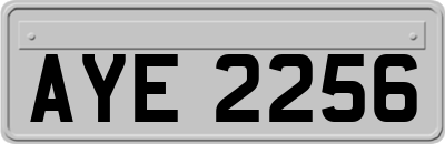 AYE2256