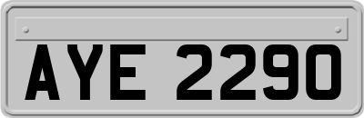 AYE2290
