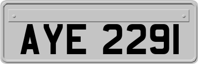 AYE2291