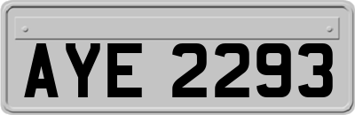 AYE2293