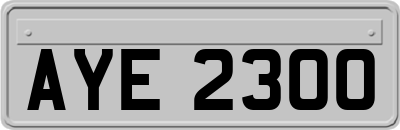 AYE2300