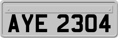 AYE2304