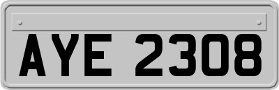 AYE2308