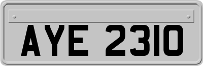 AYE2310