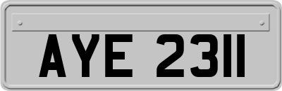 AYE2311