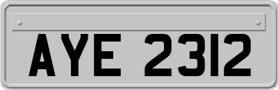 AYE2312