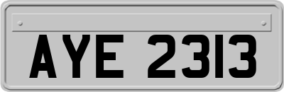 AYE2313