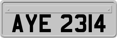 AYE2314