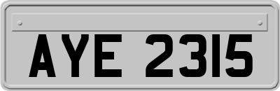 AYE2315