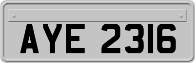 AYE2316