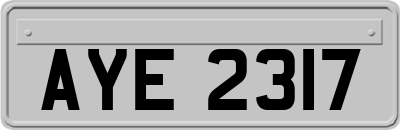 AYE2317