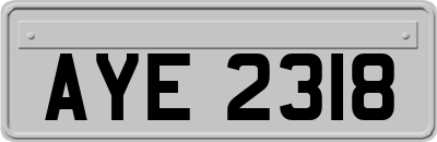 AYE2318