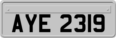 AYE2319