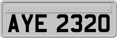 AYE2320