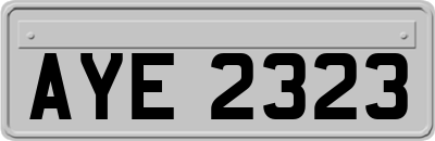 AYE2323