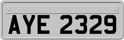 AYE2329