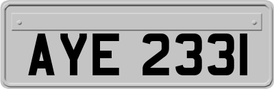 AYE2331