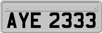 AYE2333