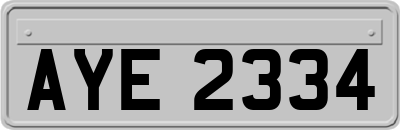 AYE2334