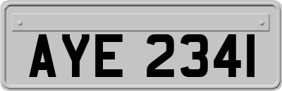 AYE2341