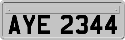AYE2344
