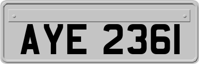 AYE2361