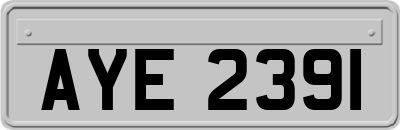 AYE2391