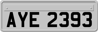 AYE2393