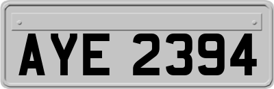 AYE2394