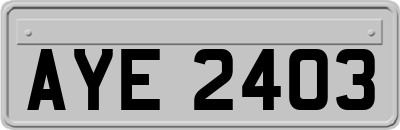 AYE2403