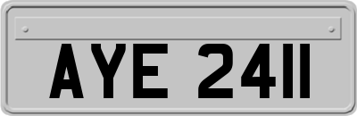 AYE2411