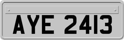 AYE2413