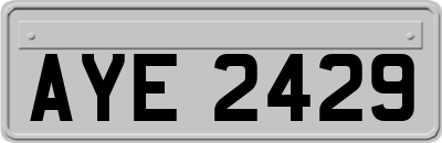 AYE2429