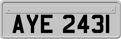 AYE2431