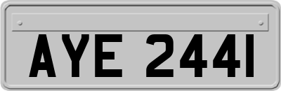 AYE2441