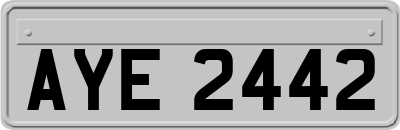 AYE2442