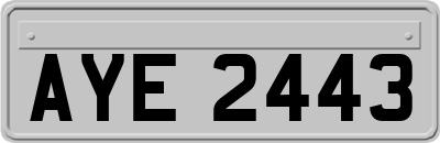 AYE2443