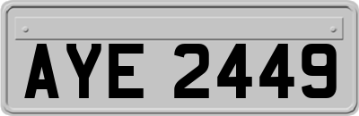 AYE2449