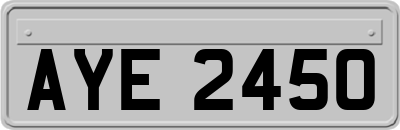 AYE2450