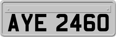 AYE2460