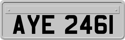AYE2461