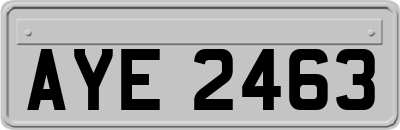 AYE2463